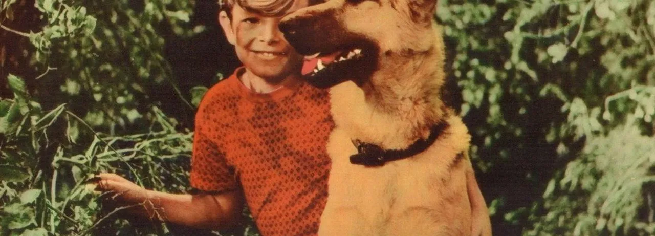 A Dog's Best Friend