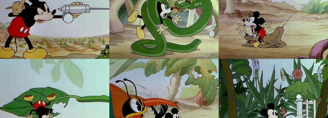 Mickey's Garden