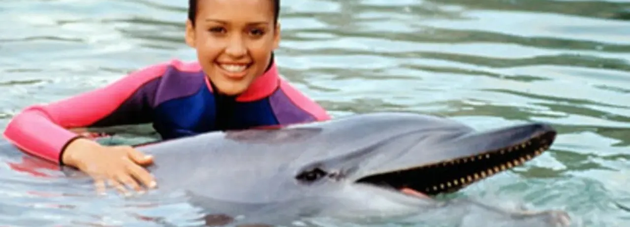 Flipper