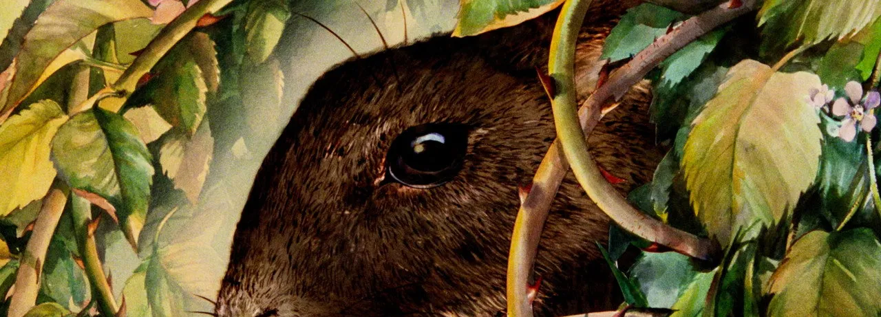 Watership Down
