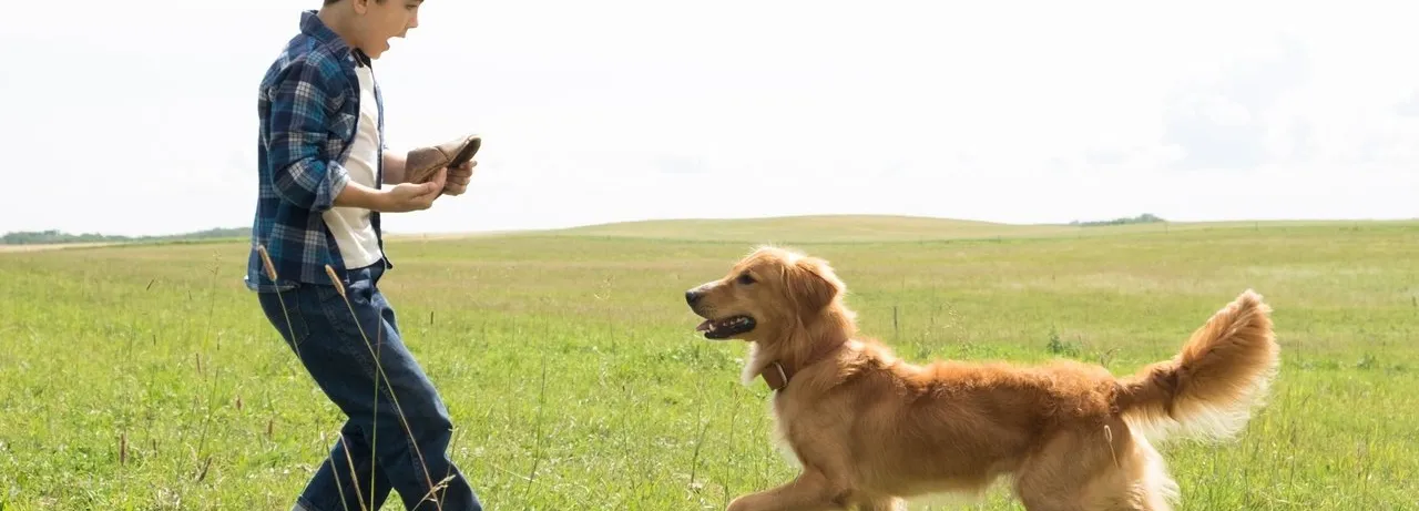 A Dog's Purpose