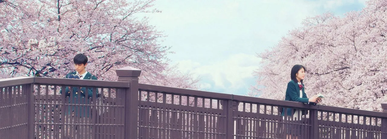Let Me Eat Your Pancreas