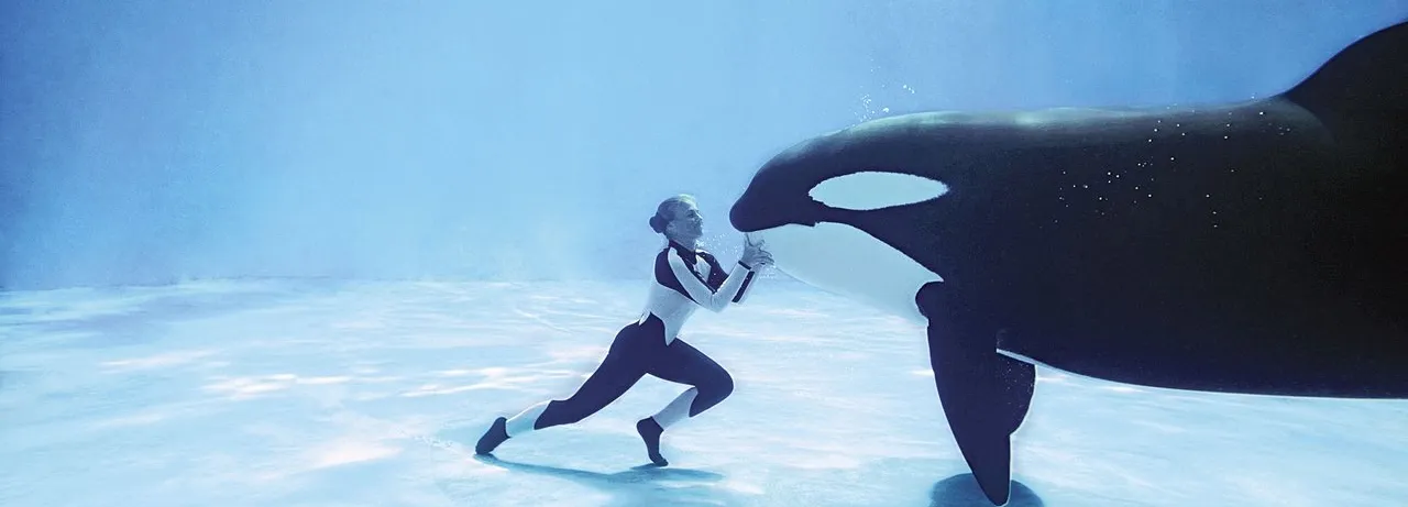 Blackfish