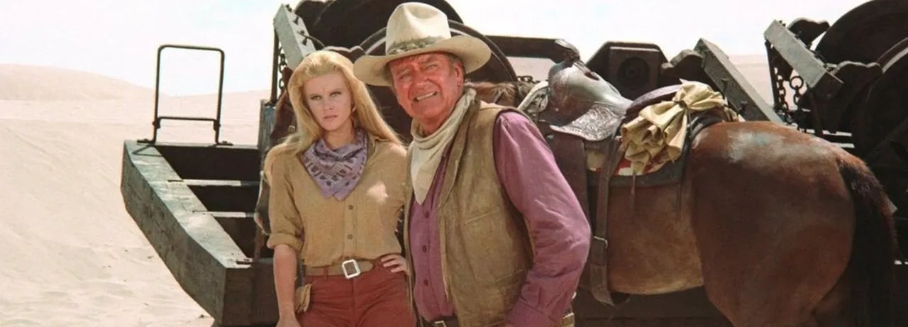 The Train Robbers