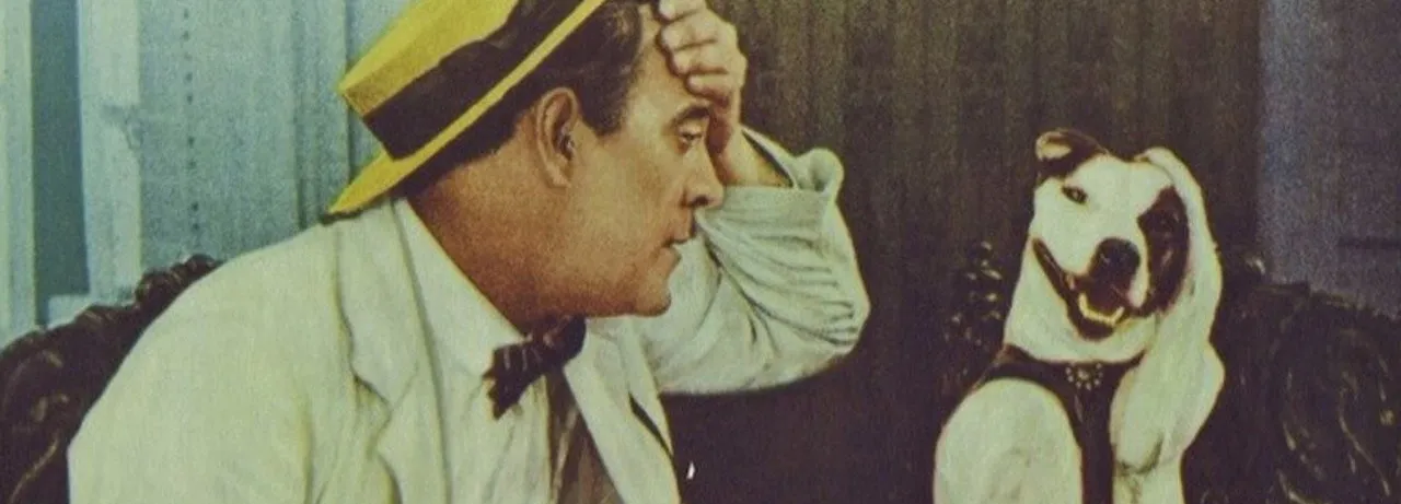The Golden Age of Comedy