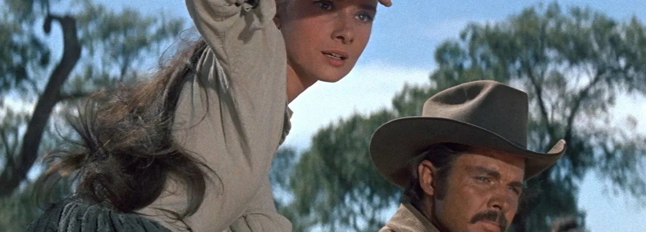 The Unforgiven