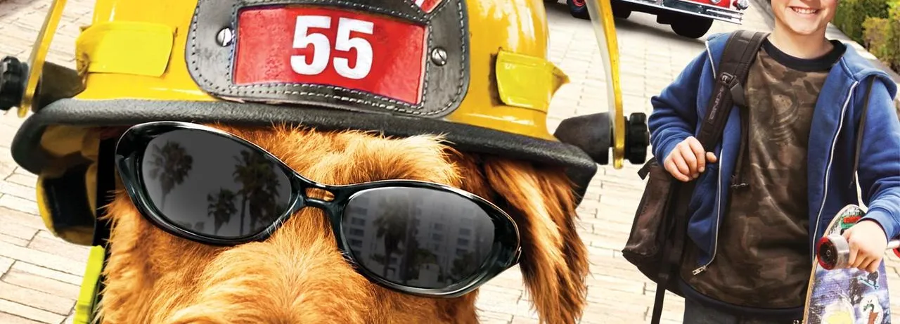 Firehouse Dog