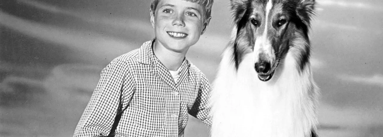 Lassie