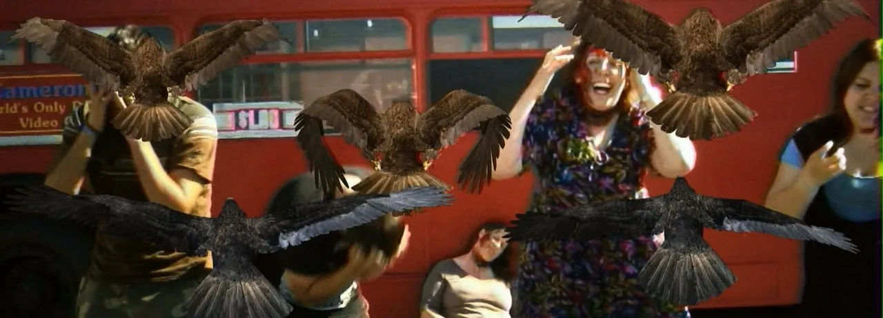 Birdemic: Shock and Terror