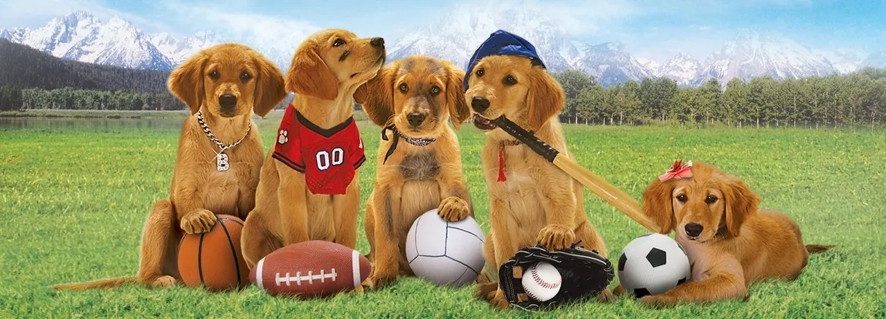 Air Buddies