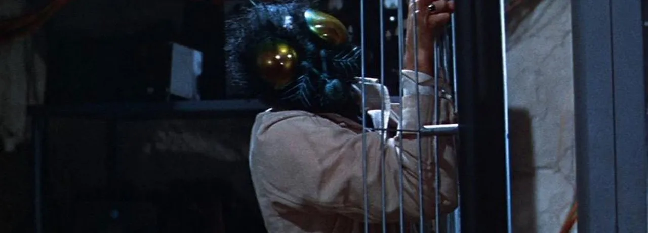 The Fly
