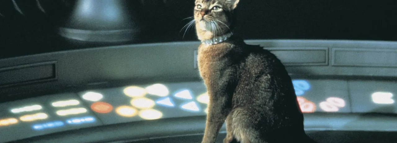 The Cat from Outer Space