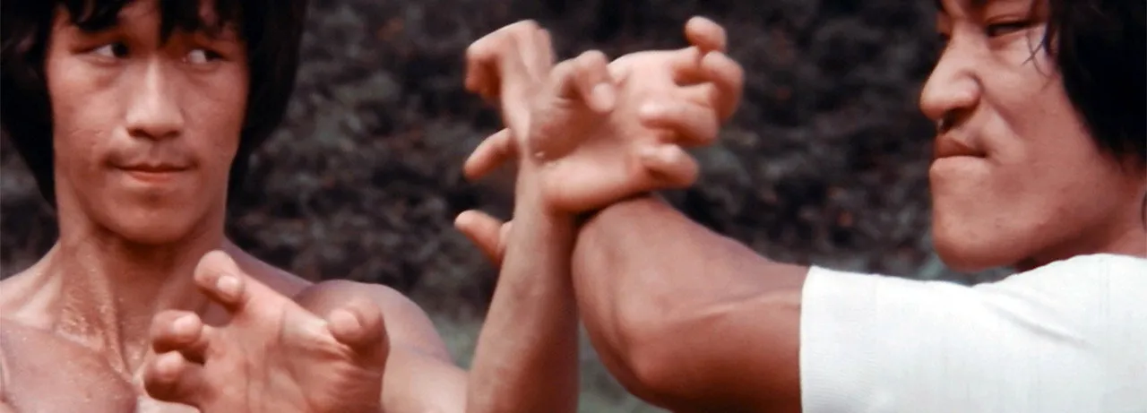 The Clones of Bruce Lee