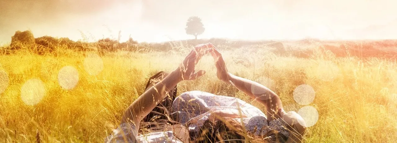 The History of Love