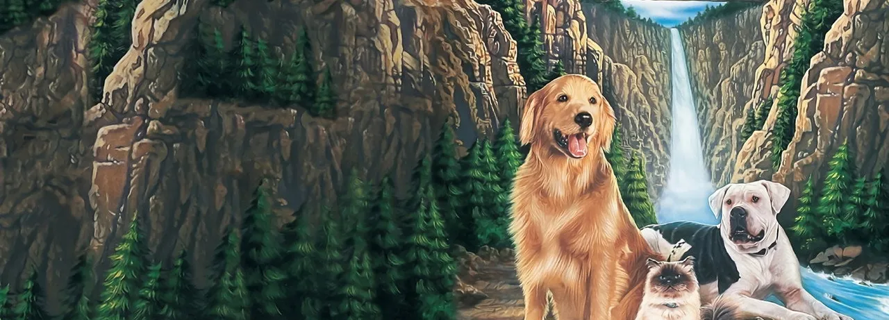 Homeward Bound: The Incredible Journey