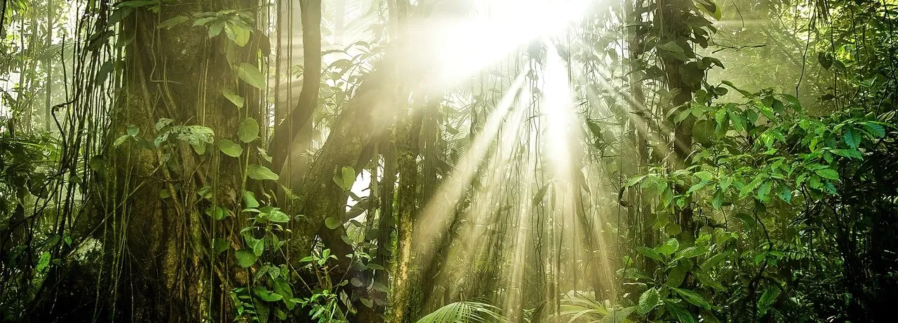 The Green Planet