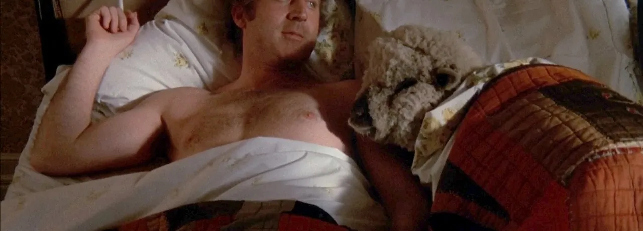 Everything You Always Wanted to Know About Sex *But Were Afraid to Ask