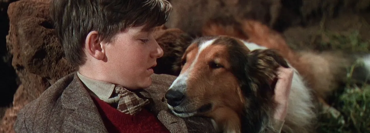 Lassie Come Home