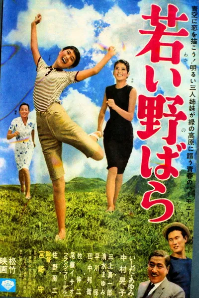 Wakai nobara