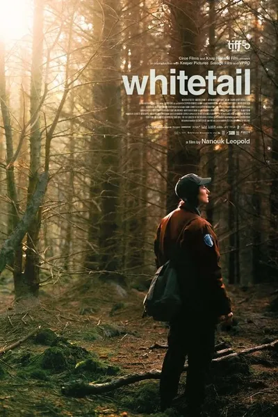 Whitetail