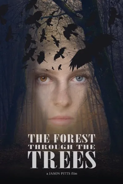 The Forest Through the Trees