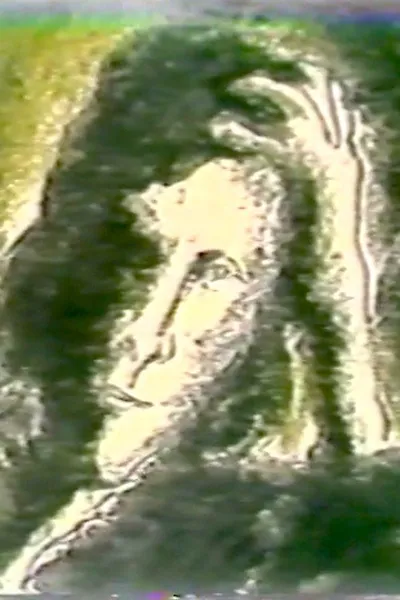 逆旅與幻象