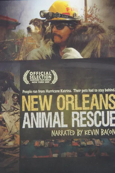 New Orleans Animal Rescue