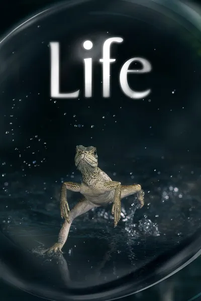 Life