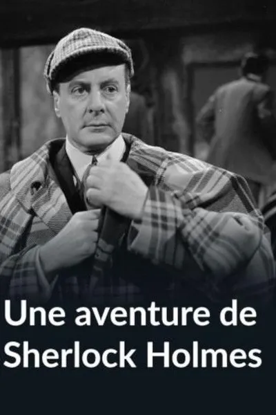An Adventure of Sherlock Holmes