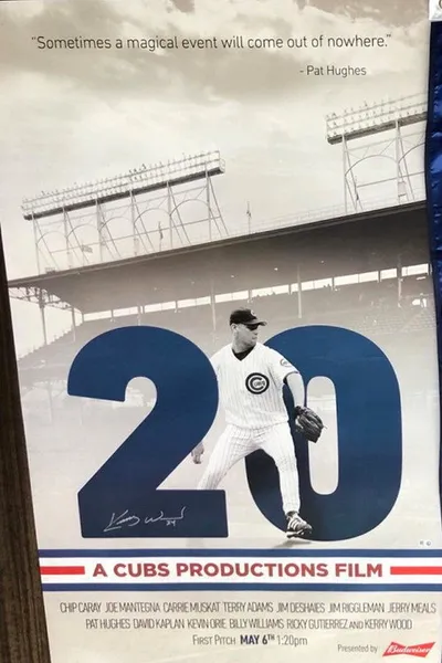 20