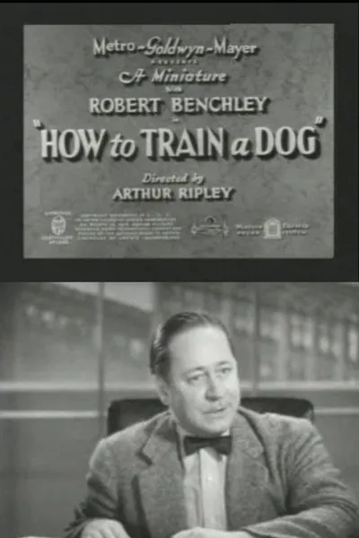 How to Train a Dog