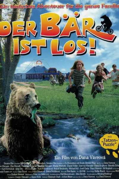 Bear on the Run