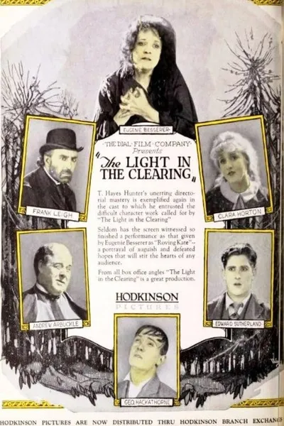 The Light in the Clearing