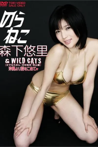 のらねこ 森下悠里 & WILD CAT’S/かでなれおん・中村知世・秋山優 沖縄より愛をこめて