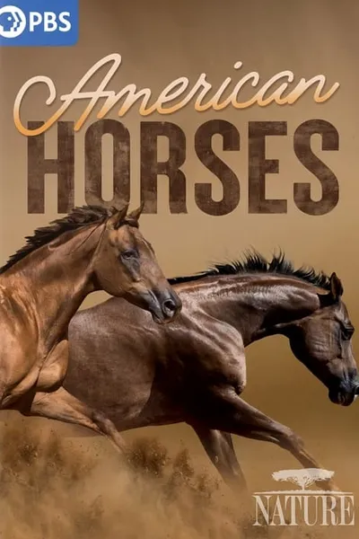 American Horses