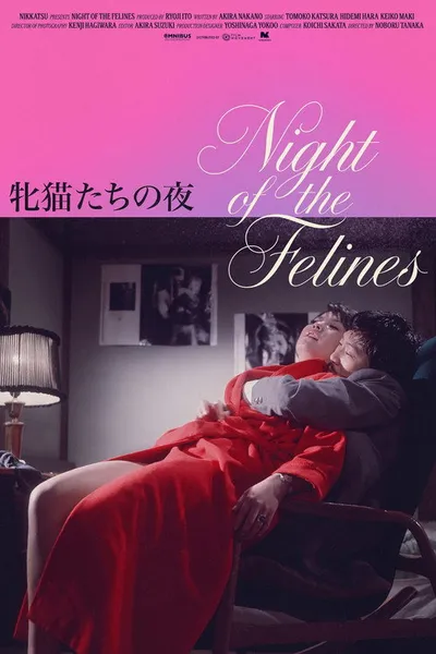 Night of the Felines