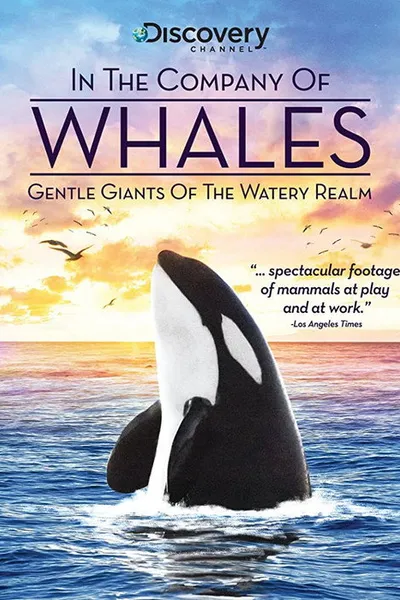 In the Company of Whales