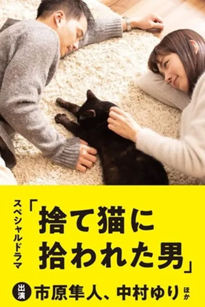 The Man Who Got Picked Up by a Stray Cat