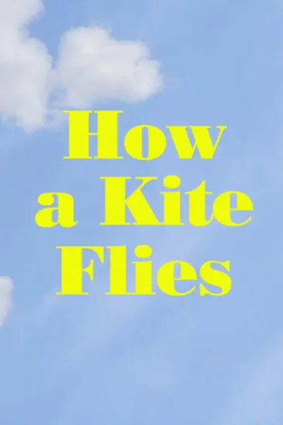How a Kite Flies
