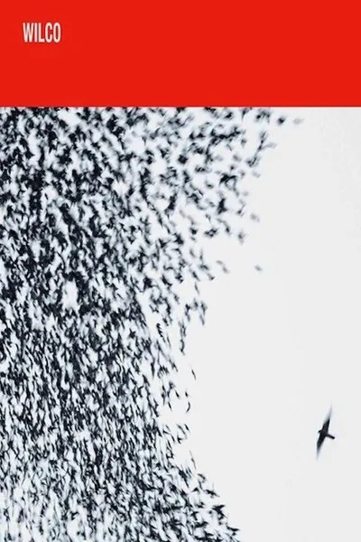 Wilco: Shake It Off