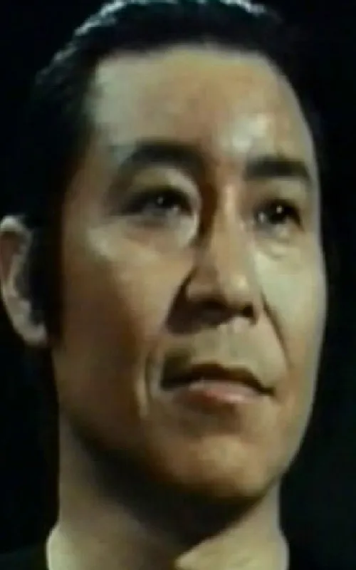 Wang Fei