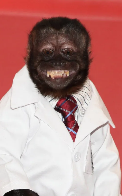 Crystal the Monkey