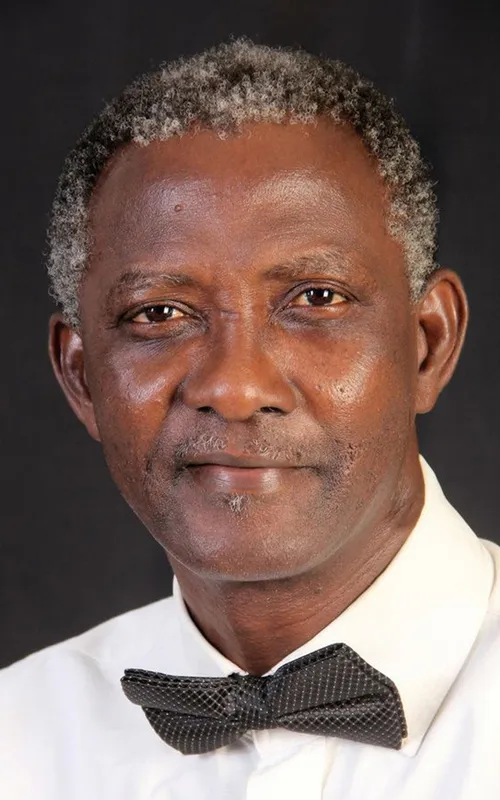 Ayo Lijadu