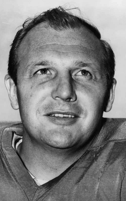 Joe Schmidt